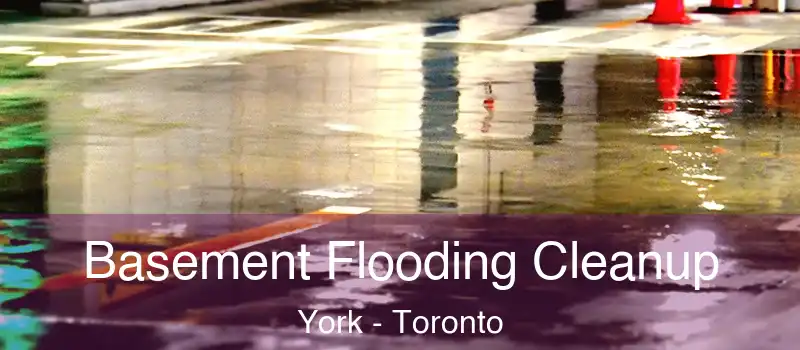  Basement Flooding Cleanup York - Toronto