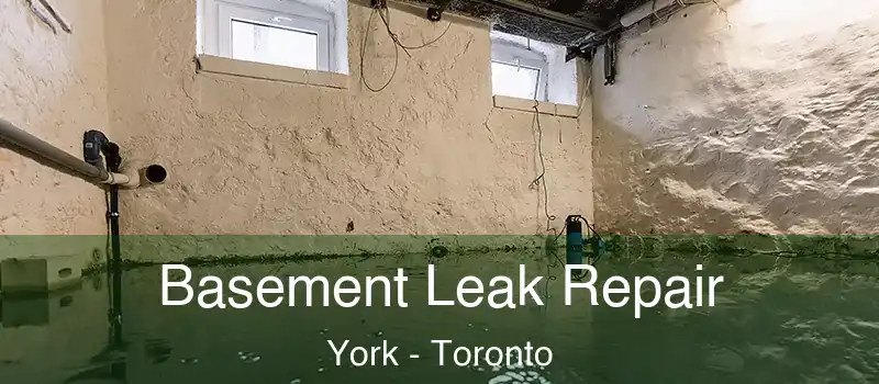  Basement Leak Repair York - Toronto
