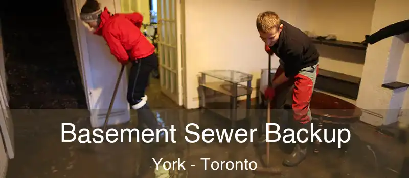  Basement Sewer Backup York - Toronto