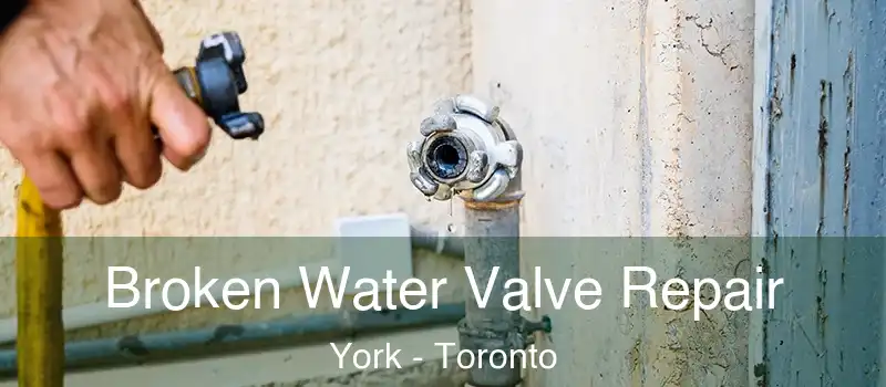  Broken Water Valve Repair York - Toronto