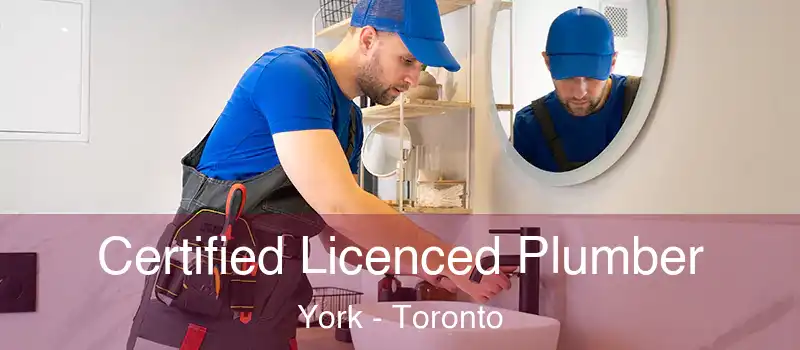  Certified Licenced Plumber York - Toronto