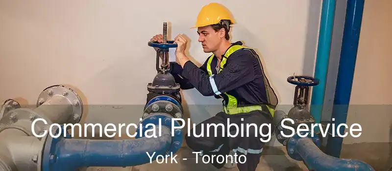  Commercial Plumbing Service York - Toronto