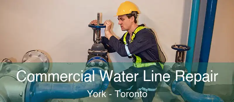  Commercial Water Line Repair York - Toronto