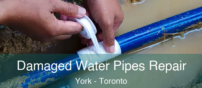  Damaged Water Pipes Repair York - Toronto