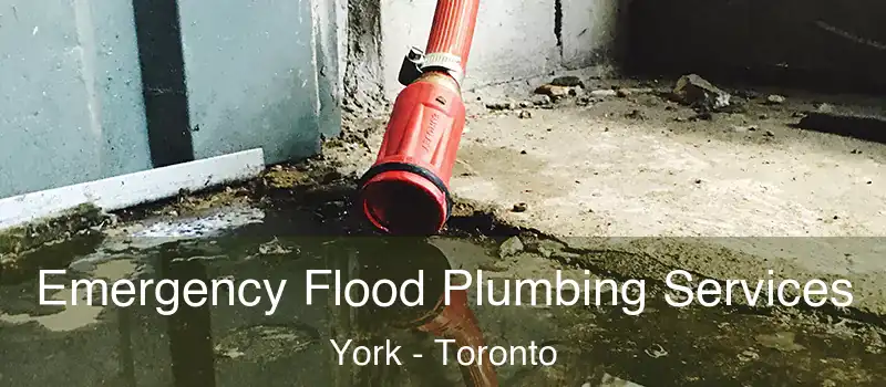  Emergency Flood Plumbing Services York - Toronto