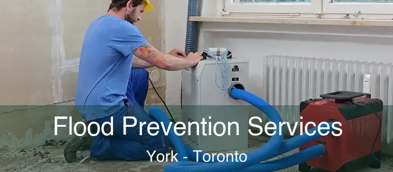  Flood Prevention Services York - Toronto