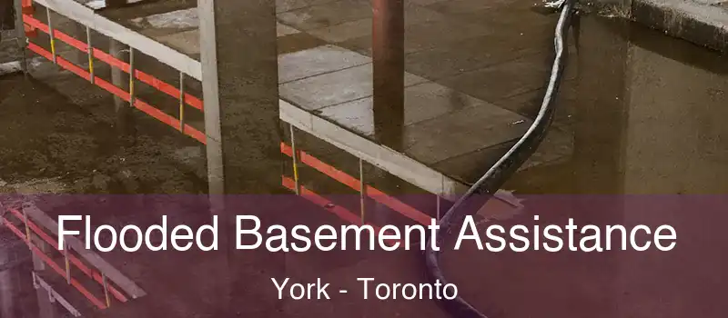  Flooded Basement Assistance York - Toronto