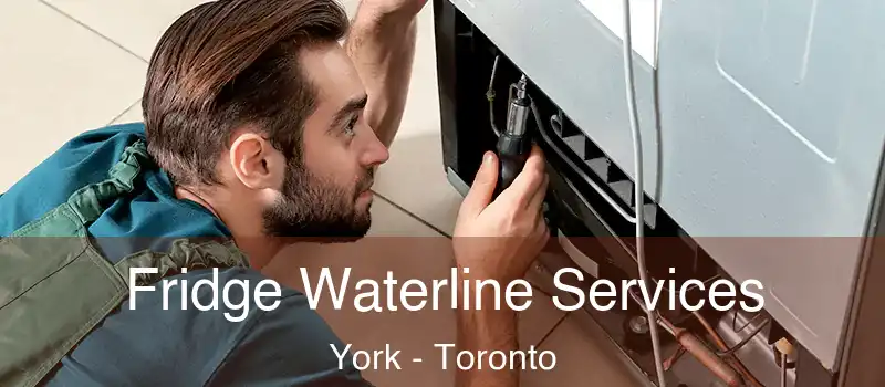  Fridge Waterline Services York - Toronto