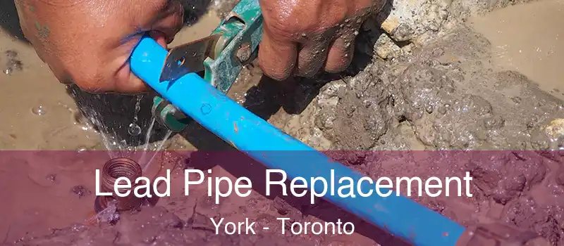  Lead Pipe Replacement York - Toronto