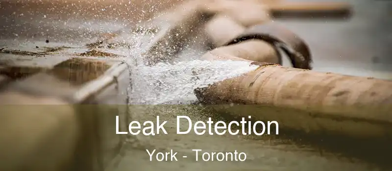 Leak Detection York - Toronto
