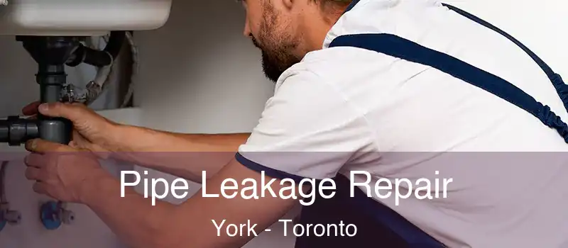  Pipe Leakage Repair York - Toronto