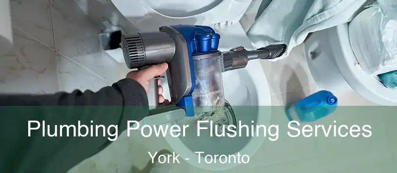  Plumbing Power Flushing Services York - Toronto