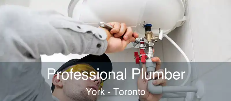  Professional Plumber York - Toronto