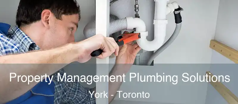  Property Management Plumbing Solutions York - Toronto