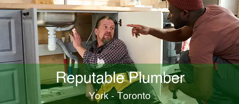  Reputable Plumber York - Toronto