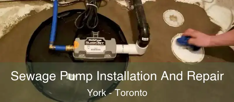  Sewage Pump Installation And Repair York - Toronto