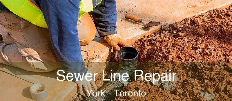  Sewer Line Repair York - Toronto