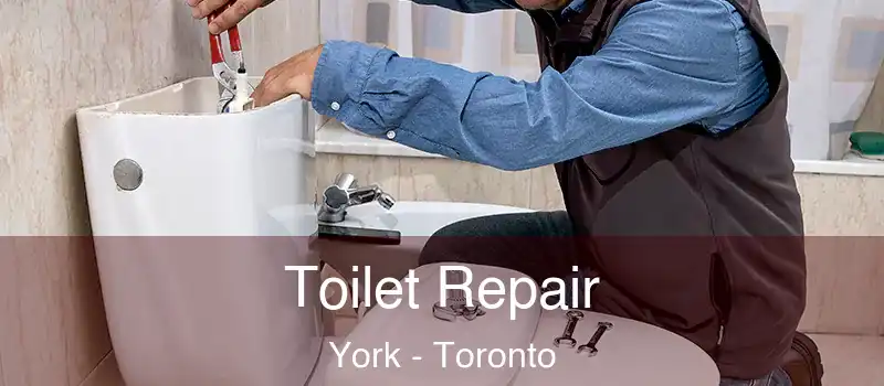  Toilet Repair York - Toronto