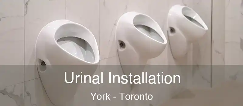  Urinal Installation York - Toronto