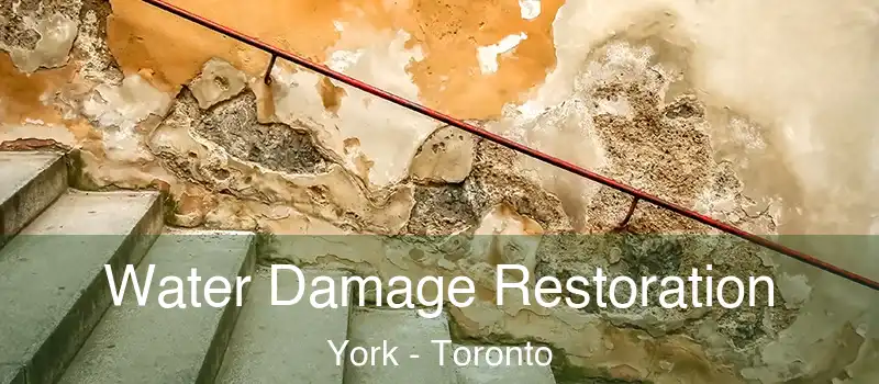  Water Damage Restoration York - Toronto
