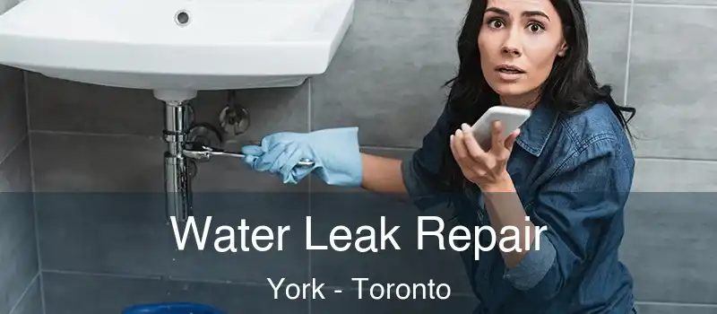  Water Leak Repair York - Toronto