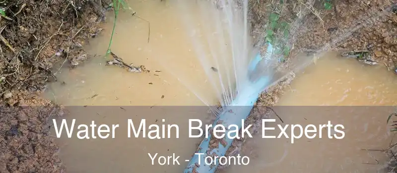  Water Main Break Experts York - Toronto