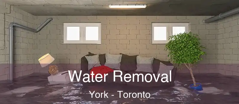 Water Removal York - Toronto